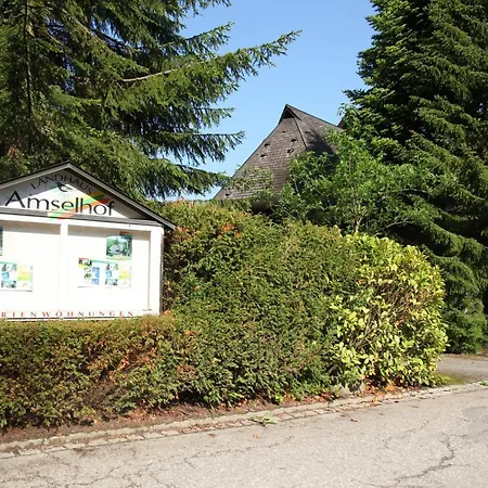 Amselhof Apartment Hinterzarten