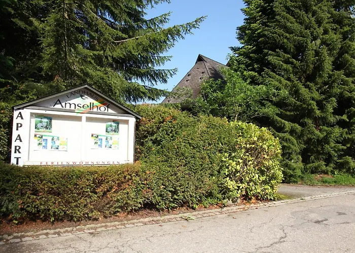 Amselhof Apartamento Hinterzarten