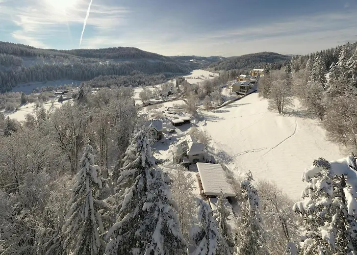 Апартаменты Amselhof *